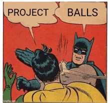 a cartoon of batman and robin with the words project balls