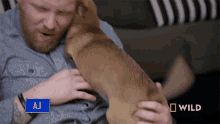 a man is petting a dog with the name aj on his shirt