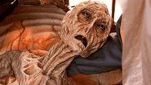 a close up of a person holding a mummy with a very long neck
