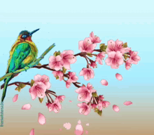 a colorful bird is perched on a branch with pink flowers and the word good written above it