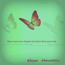 a green background with three butterflies and a quote that says may every new chapter be better than your last