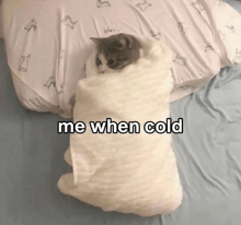 a cat wrapped in a blanket on a bed with the words me when cold above it
