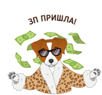 a dog wearing sunglasses and a leopard print coat is surrounded by dollar bills