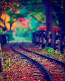 a painting of a train track with leaves on it