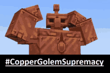 a picture of a copper golem with the hashtag #coppergolemsupremecy on the bottom