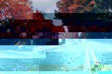 a blurry picture of a road with trees on both sides