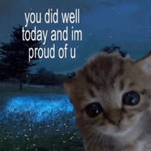 a picture of a cat with the words " you did well today and im proud of u " behind it