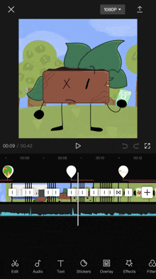 a screenshot of a video editing app shows a wooden object with a leaf on it