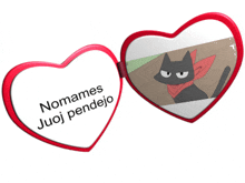 a heart shaped mirror with a picture of a cat and the words nomamos juoj pendejo on it