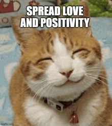 a cat is smiling with its eyes closed and the words `` spread love and positivity '' written on it .