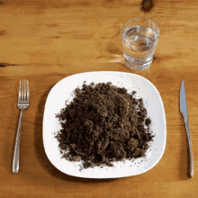 a plate of dirt sits on a wooden table next to a glass of water and a fork and knife