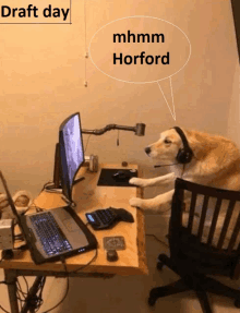 a dog wearing headphones is sitting at a desk with a laptop and a monitor and says mhmm horford