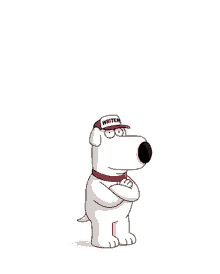 a cartoon dog is wearing a hat that says `` writer '' .