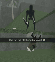 a screenshot of a video game with the words get me out of etrean luminant on it