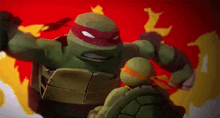 two teenage mutant ninja turtles fighting each other