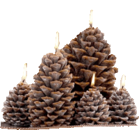 a group of pine cone shaped candles are lit up