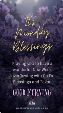 it 's monday blessings praying you to have a wonderful new week