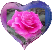 a heart shaped glass container with a pink rose inside