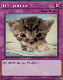 a card that says it 's too late with a picture of a kitten