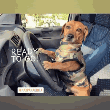 a dog is sitting in the driver 's seat of a car with the words ready to go written on the steering wheel