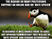 a picture of a puffin with the caption " the reason so many politicians support an online ban on ' hate speech ' "