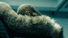 a close up of a fur coat with a braided head in the background