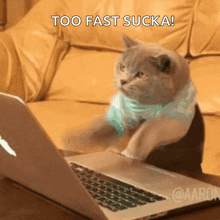 a cat is sitting in front of a laptop with the words too fast sucka written above it