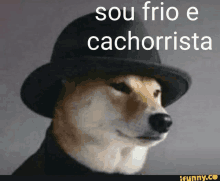 a dog wearing a top hat with the words sou frio e cachorrista