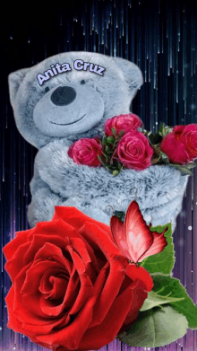 a teddy bear is holding a bouquet of red roses and has the name anita cruz on its chest