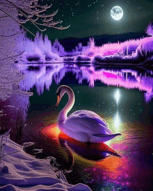 a swan is swimming in a lake at night with a full moon