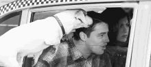 a man and a woman are sitting in a taxi with a dog on top of their head .