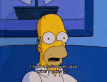 homer simpson says that he has absolutely no idea what is going on