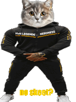 a cat with a hoodie that says hvh legende needness on it