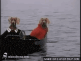 two dogs are sitting in a boat on the water .