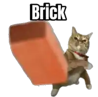 a cat is holding a large orange brick in its paw