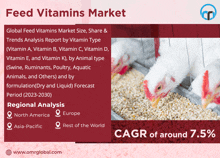 an advertisement for feed vitamins market with a picture of chickens eating from a feeder