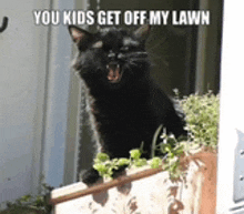 a black cat is sitting on a fence with the words you kids get off my lawn above it