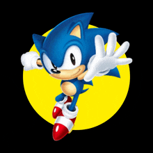 a picture of sonic the hedgehog with a yellow circle behind him