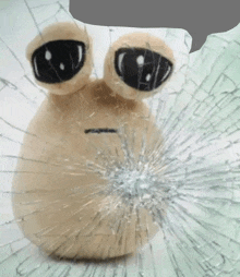 a stuffed animal behind a broken glass