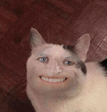 a cat with a man 's face is smiling and looking at the camera