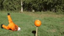 a person in an orange suit is laying on their back in a field next to a pumpkin on a stick .