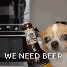 a chihuahua is holding a bottle of beer and says we need beer