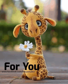 a stuffed giraffe holding a flower with the words " for you " written below it