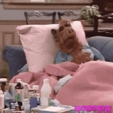 alf is laying on a couch with a pink blanket and a pillow .