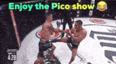 a boxing match with the words enjoy the pico show