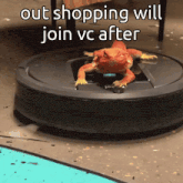 a lizard sitting on top of a vacuum cleaner with the words out shopping will join vc after below it