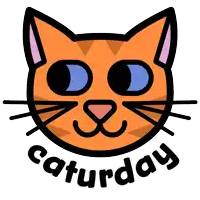 a calico cat with green eyes and the word saturday below it