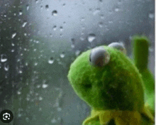 kermit the frog is looking out a window with rain drops