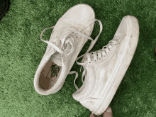 a pair of white vans shoes laying on a green carpet