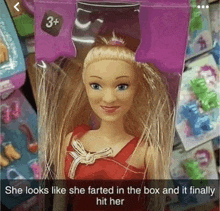 a barbie doll that looks like she farted in the box